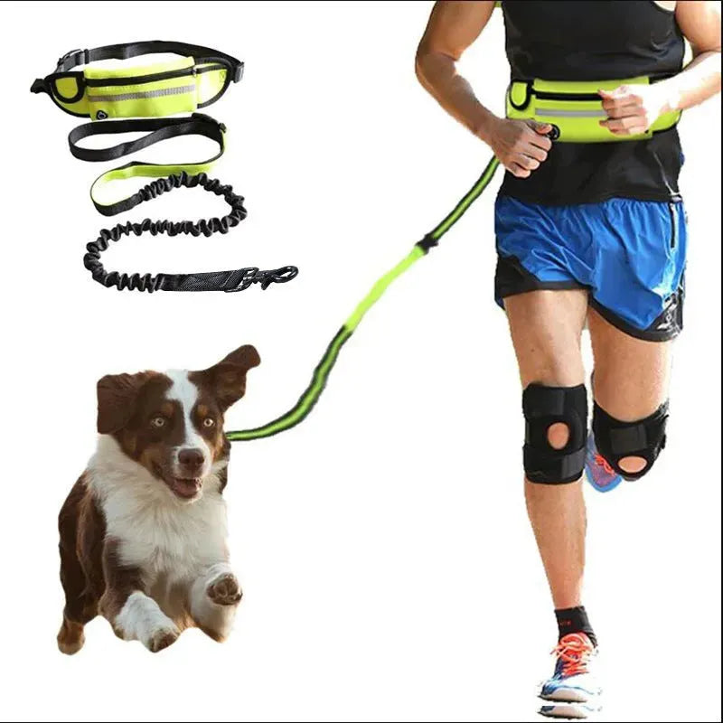 Hands Free Dog Leash Pet Walking And Training Belt With Shock Absorbing Bungee Leash For Up To 180lbs Large Dogs Phone Pocket And Water Bottle Holder - Bellarte Enchanté Hands Free Dog Leash Pet Walking And Training Belt With Shock Absorbing Bungee Leash For Up To 180lbs Large Dogs Phone Pocket And Water Bottle Holder
